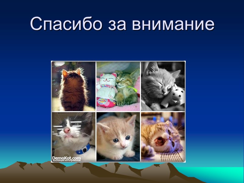 Спасибо за внимание